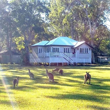 Lake Weyba Noosa Lodge & Kangaroos Praia Peregian Exterior foto