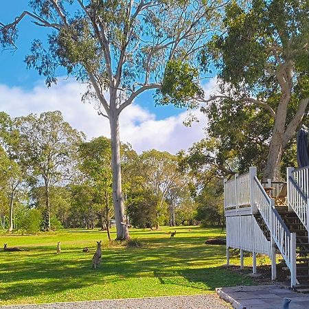 Lake Weyba Noosa Lodge & Kangaroos Praia Peregian Exterior foto