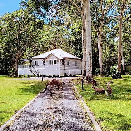 Lake Weyba Noosa Lodge & Kangaroos Praia Peregian Exterior foto