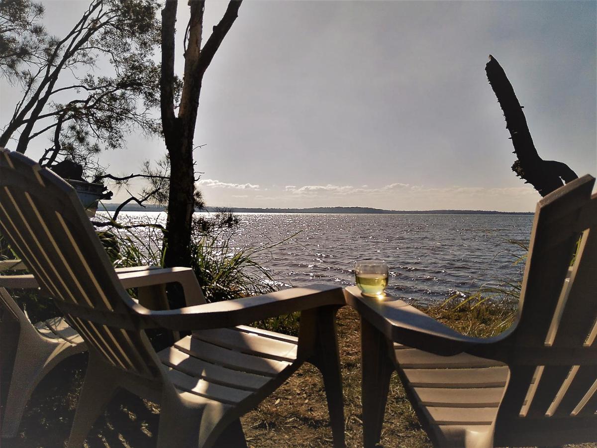 Lake Weyba Noosa Lodge & Kangaroos Praia Peregian Exterior foto