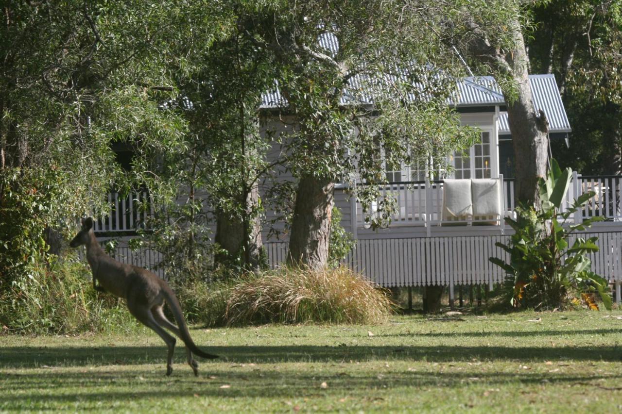 Lake Weyba Noosa Lodge & Kangaroos Praia Peregian Exterior foto