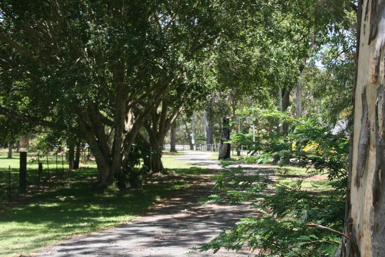 Lake Weyba Noosa Lodge & Kangaroos Praia Peregian Exterior foto