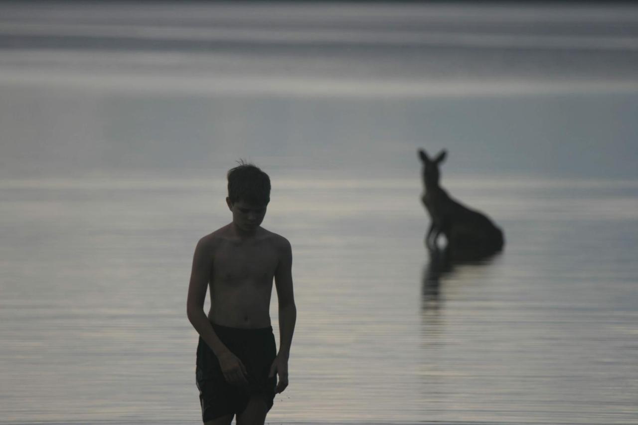 Lake Weyba Noosa Lodge & Kangaroos Praia Peregian Exterior foto
