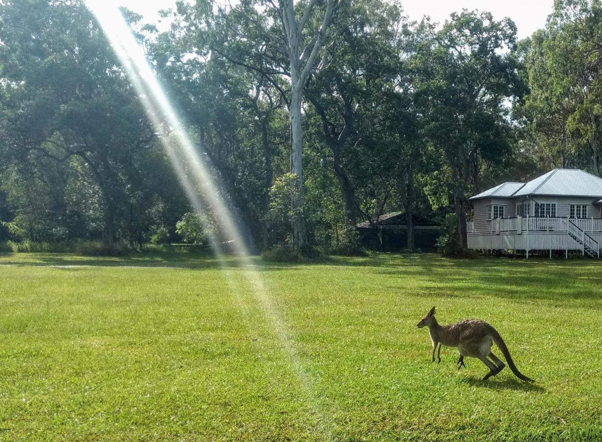 Lake Weyba Noosa Lodge & Kangaroos Praia Peregian Exterior foto