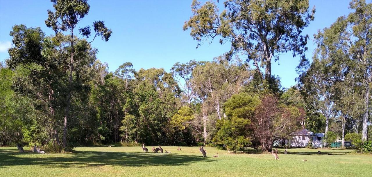 Lake Weyba Noosa Lodge & Kangaroos Praia Peregian Exterior foto