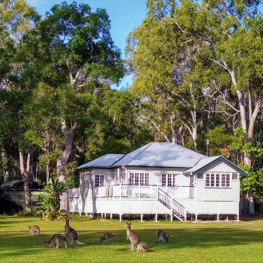 Lake Weyba Noosa Lodge & Kangaroos Praia Peregian Exterior foto