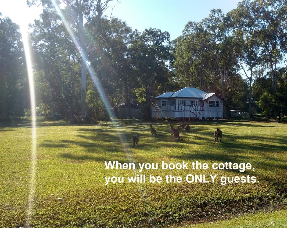 Lake Weyba Noosa Lodge & Kangaroos Praia Peregian Exterior foto