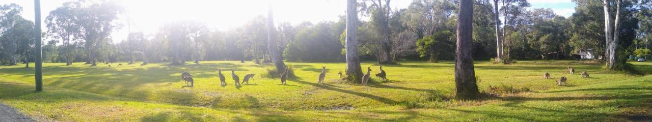 Lake Weyba Noosa Lodge & Kangaroos Praia Peregian Exterior foto