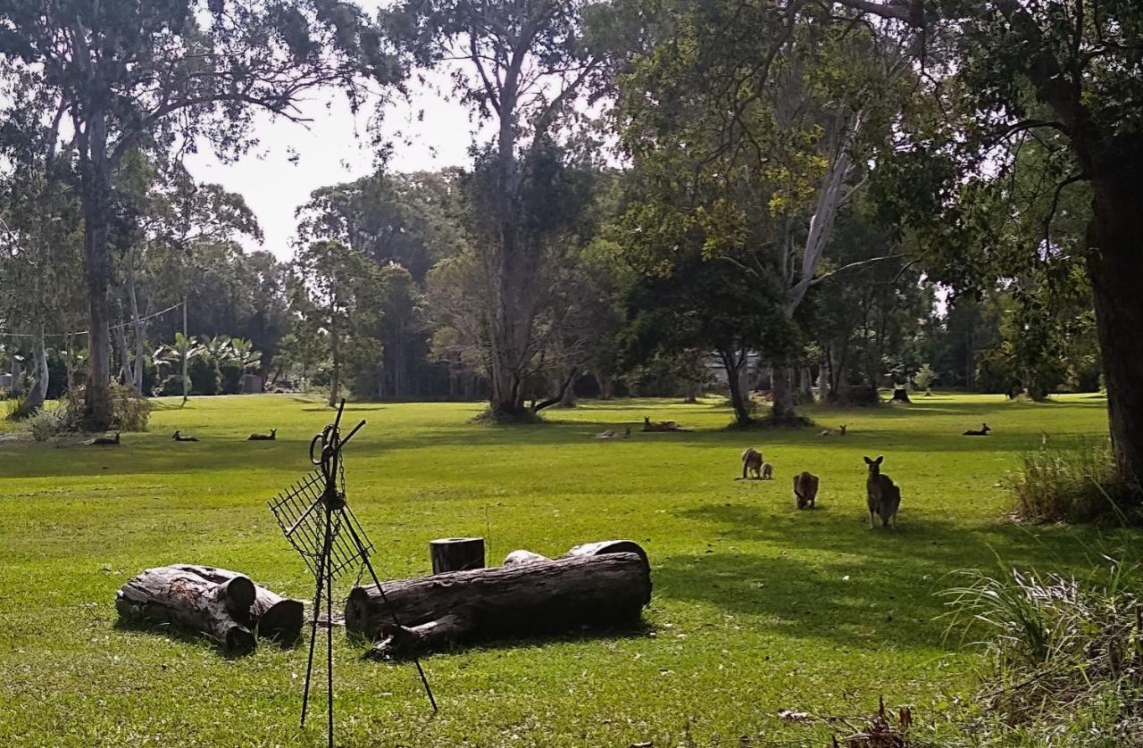 Lake Weyba Noosa Lodge & Kangaroos Praia Peregian Exterior foto