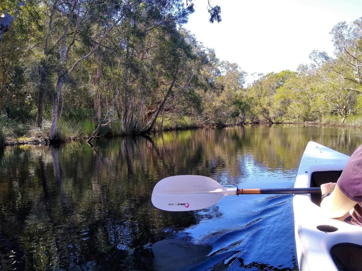 Lake Weyba Noosa Lodge & Kangaroos Praia Peregian Exterior foto