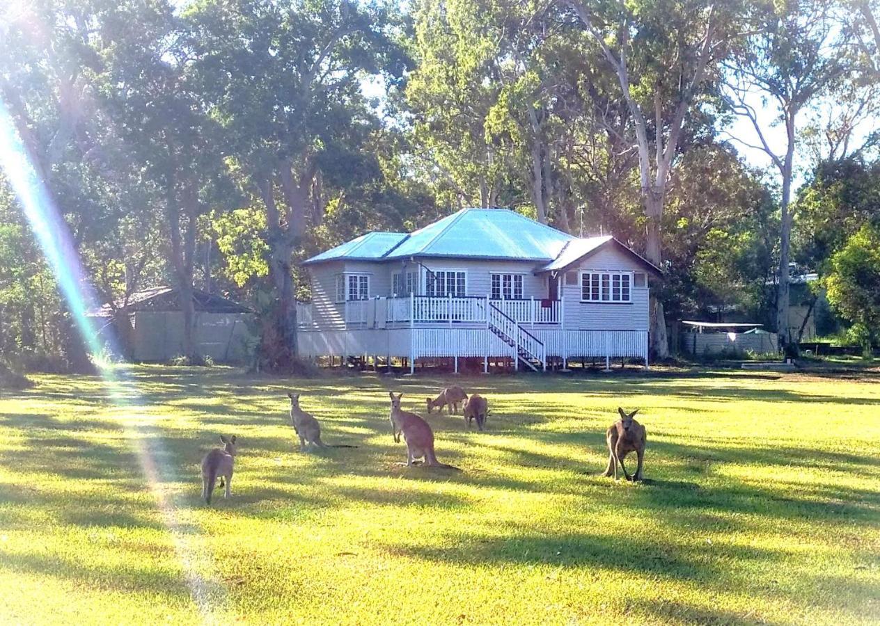 Lake Weyba Noosa Lodge & Kangaroos Praia Peregian Exterior foto