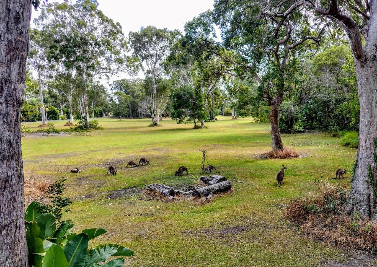 Lake Weyba Noosa Lodge & Kangaroos Praia Peregian Exterior foto