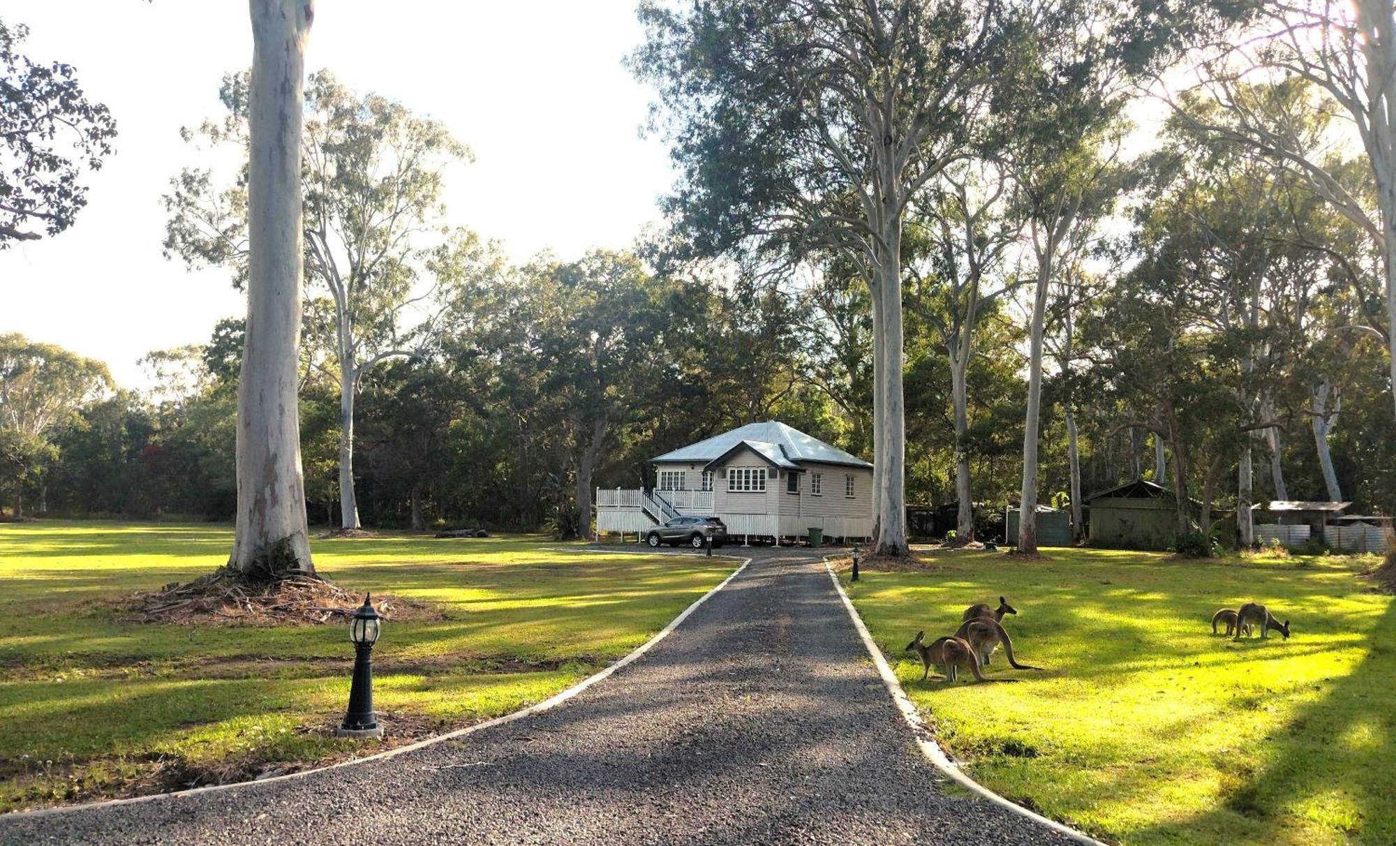 Lake Weyba Noosa Lodge & Kangaroos Praia Peregian Exterior foto