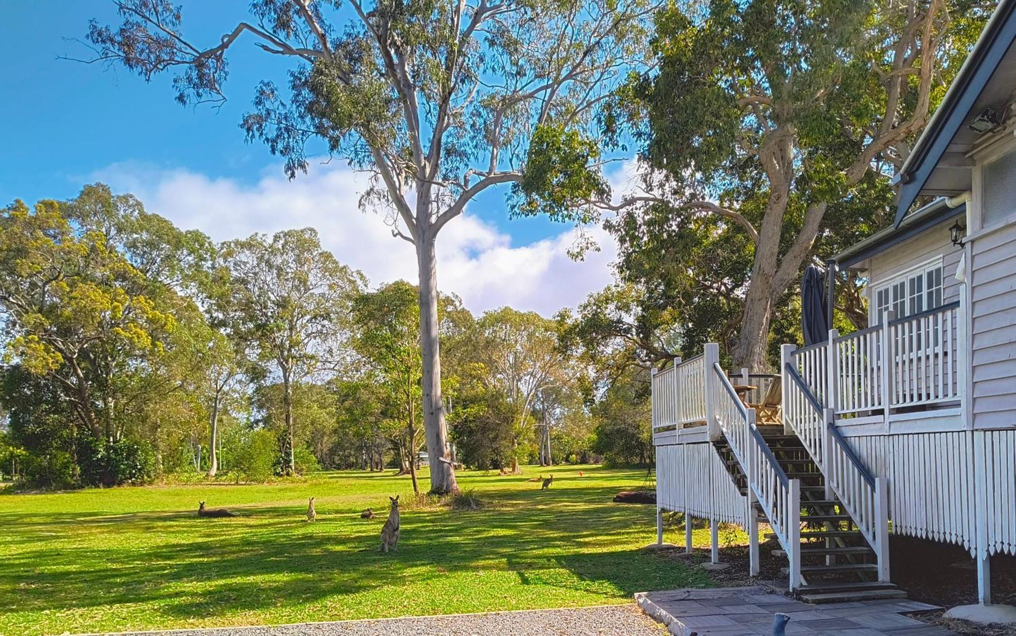 Lake Weyba Noosa Lodge & Kangaroos Praia Peregian Exterior foto