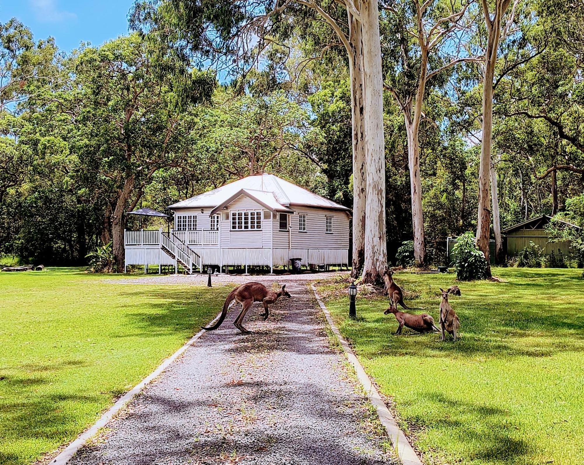 Lake Weyba Noosa Lodge & Kangaroos Praia Peregian Exterior foto